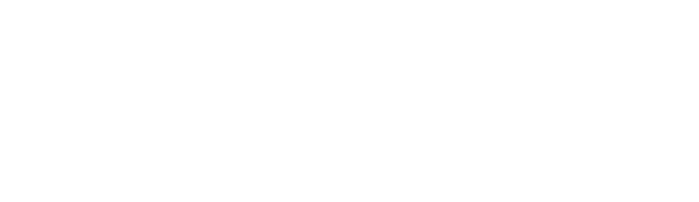 Dani Aldea